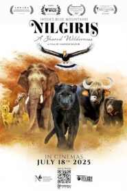 Nilgiris – A Shared Wilderness