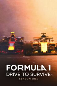 Formula 1: Drive to Survive: Season 1