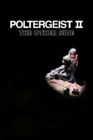 Poltergeist II: The Other Side