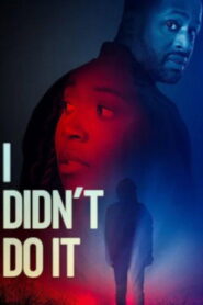 I Didn’t Do It